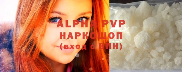 стафф Козельск