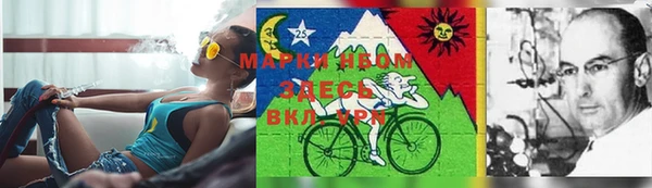 шишки Козловка