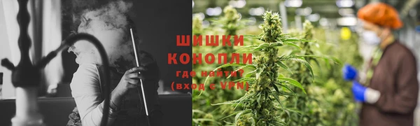 шишки Козловка