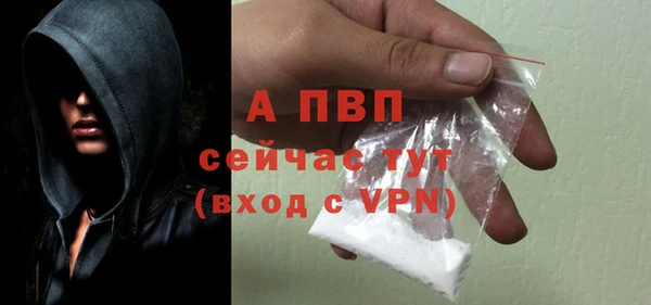 шишки Козловка