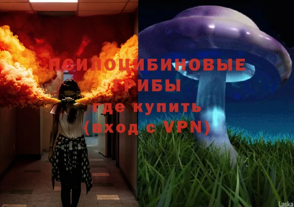 стафф Козельск
