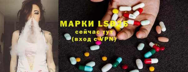 гидра Костерёво