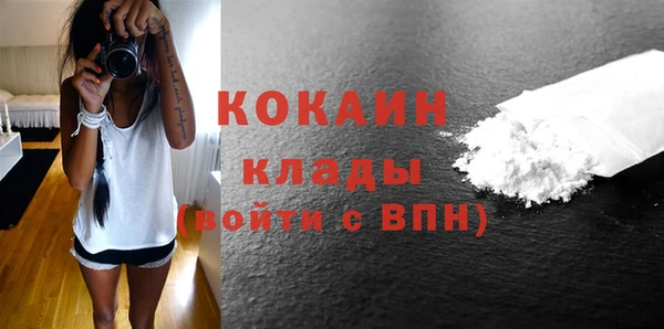 шишки Козловка