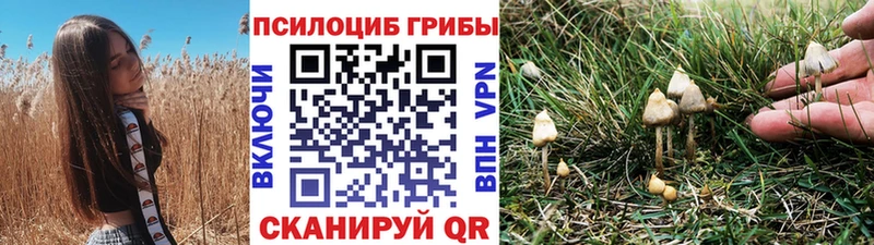 Псилоцибиновые грибы мицелий  даркнет какой сайт  Липки  купить наркотик 